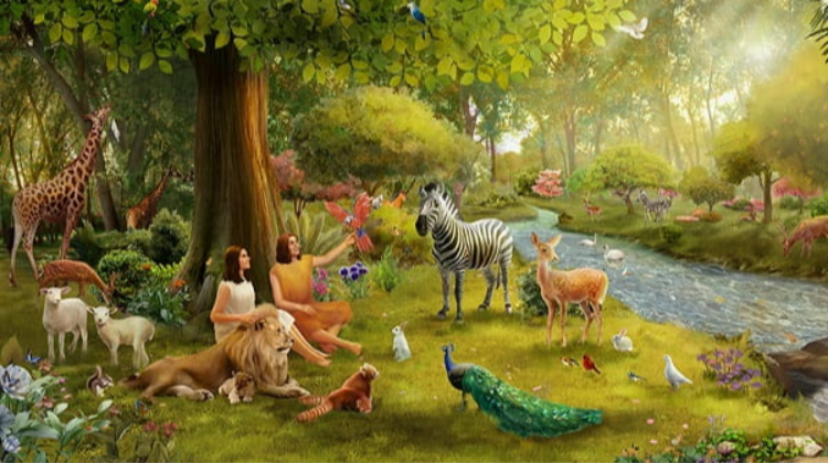 The Creation